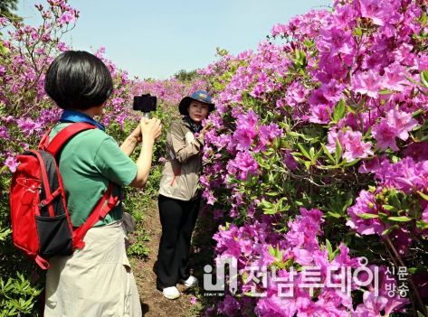 장흥군, “철쭉 보고 키조개 맛보고” 연휴 풍성