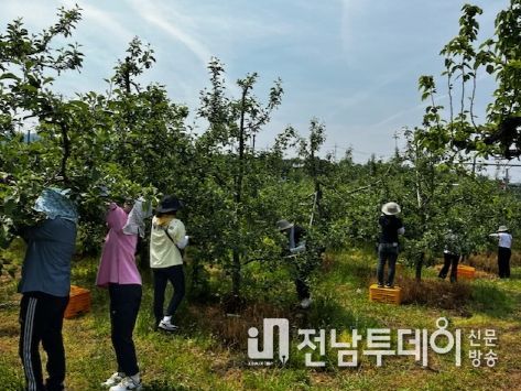 곡성군, 농촌 일손돕기 추진