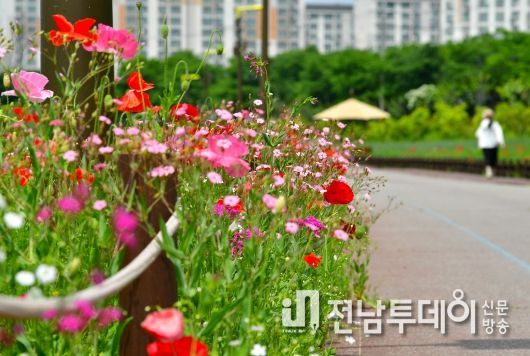 장성군 “황룡강 꽃길 함께 걸으실래요?”