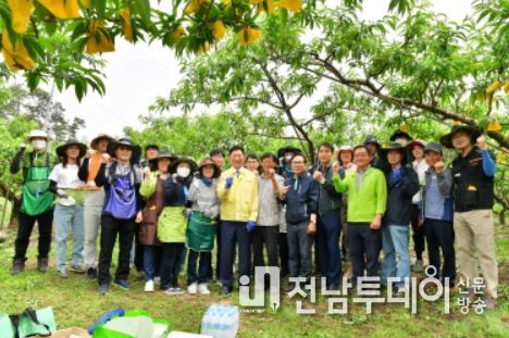 장성군 “복숭아들아, 이쁘게 자라 주렴”