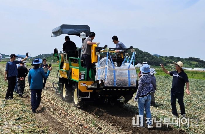 8일 해보면 대창리 일원에서 실시된 양파 기계 수확 시연회 모습