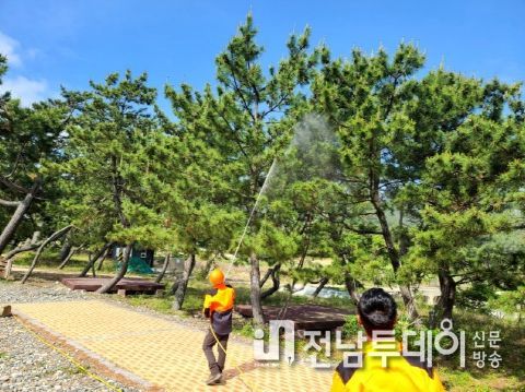 고흥군, 산림병해충 예찰·방제 대책본부 가동
