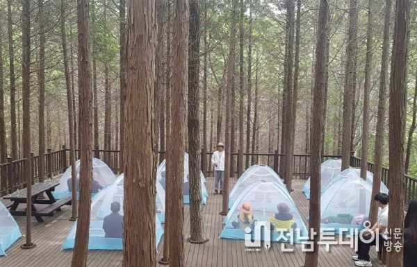고흥군, 치매환자와 가족이 함께하는 힐링 프로그램 운영