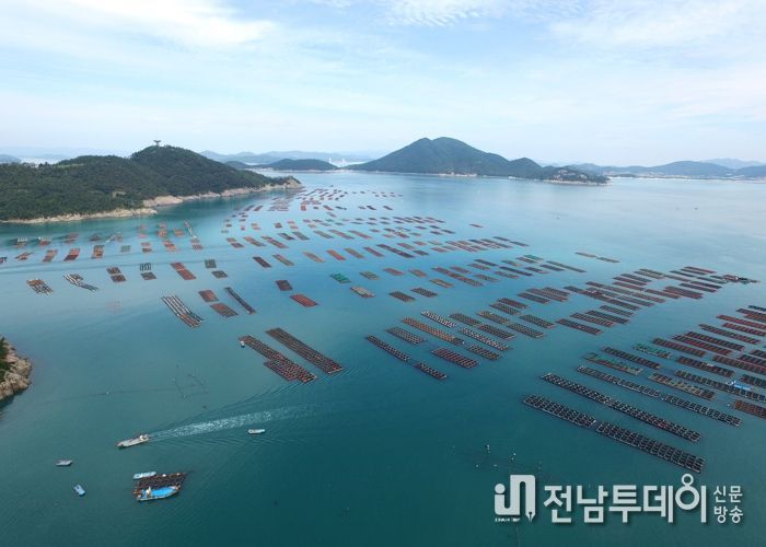 완도군, 해산물 우수성과 해수 성분 영양학적 관계 밝혀