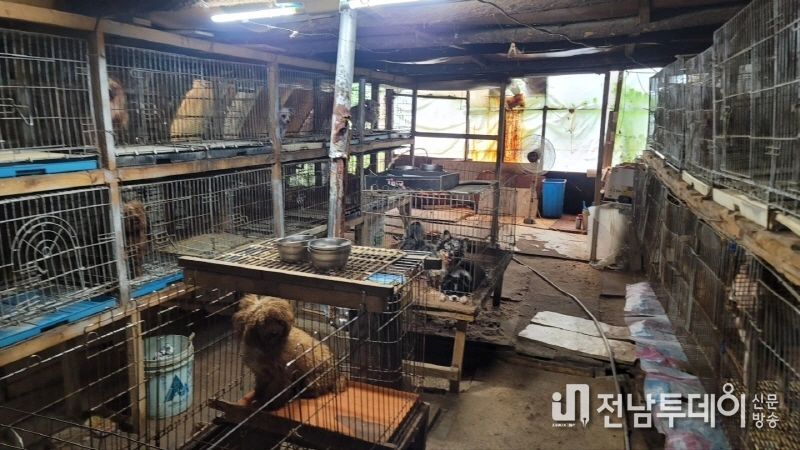 불법 번식장 내부