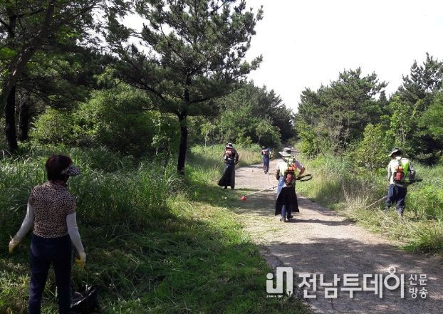 조림지 풀베기 사업