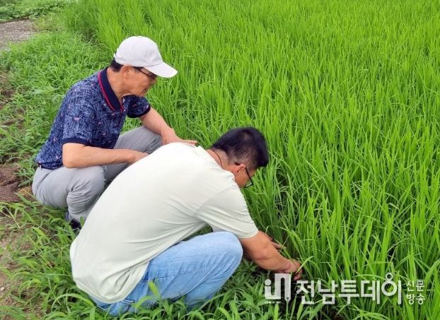 농업기술센터에서 현장 기술 교육을 진행하고 있다