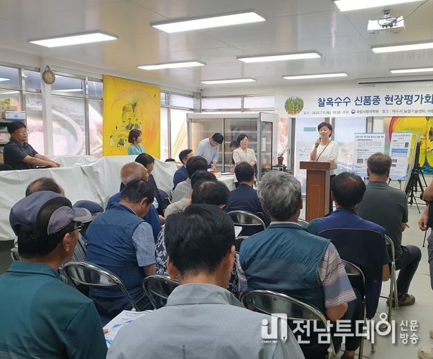 여수시가 지난 11일 여수지역에 적합한 찰옥수수 신품종 현장평가회를 개최하고 지역대표 농특산물 브랜드 육성에 박차를 가했다.