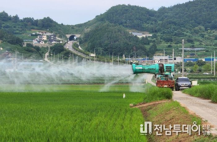 여수시가 이번 집중호우로 병해충 발생 증가가 예상됨에 따라 친환경벼 생산단지에 대해 적기 병해충 공동방제에 나선다.