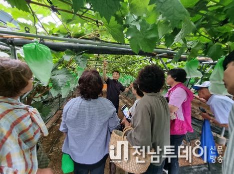 지난 7월 18일, 화순군 농업인대학 포도과 20명은 영암군을 방문했으며, 하두 가나안 포도 농원 대표가(가운데) 장마철 포도 과원 관리·병해충 관리에 대해 강의했다.