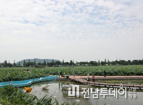 제26회 무안연꽃축제 공연 축소, 다양한 체험프로그램 운영