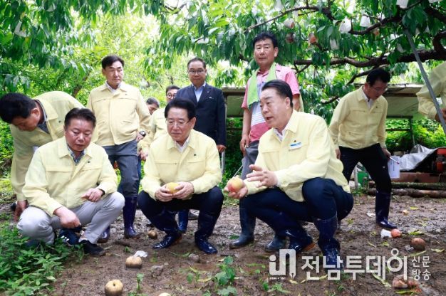 호우피해 도지사 현장방문 : 복숭아 낙과 피해 현장을 방문해 구복규 화순군수와 김영록 도지사가 피해 상황과 후속 조치에 대해서 이야기를 나누고 있다.