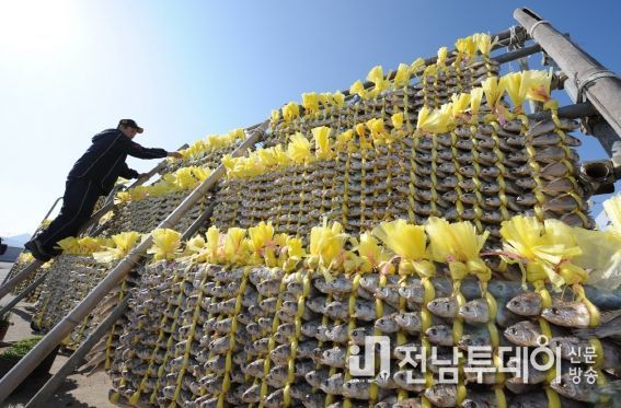 영광굴비 지리적표시제 등록 큰 산 넘었다