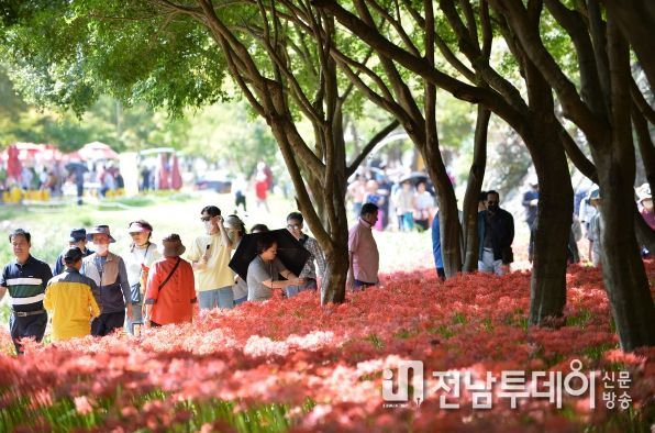 영광군, 제23회 영광불갑산상사화축제 유료화