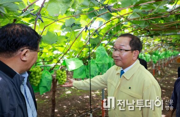 강병삼 제주시장, 샤인머스켓 정예소득작목단지 방문