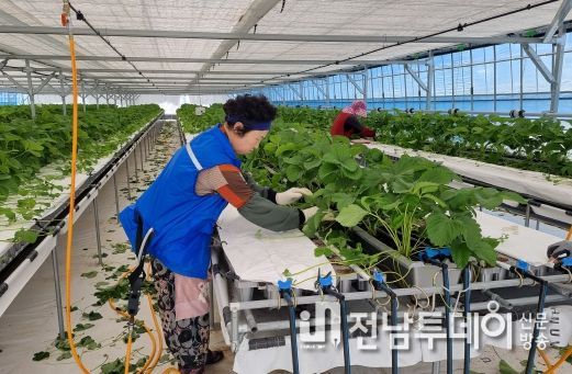 고흥군, 폭염 속 농작업 온열질환 주의 당부