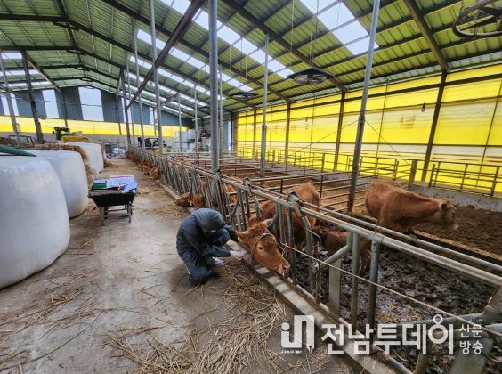 수의사회의 축산농가 방문 진료 봉사 모습