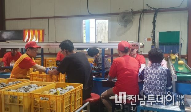 곡성 명품 배 2023년도 미국에 첫 수출 시작