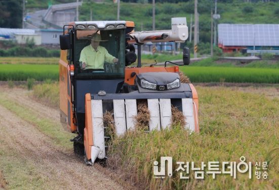 광양시, 올해 벼 ‘첫 수확’ 나서
