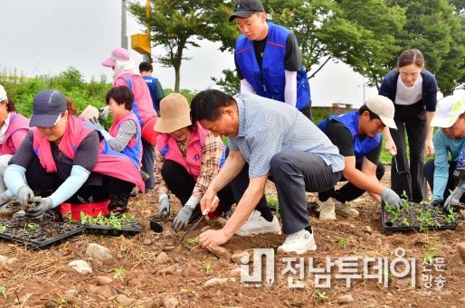 장성군, 황룡강 가을꽃 파종 완료… 가을꽃축제 준비 ‘착착’