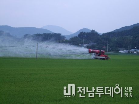영광군, 벼 출수기 전·후 병해충 방제철저 당부