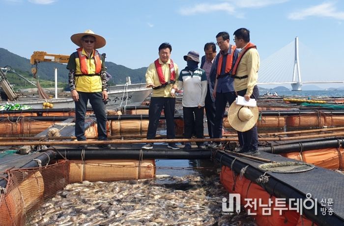 정기명 여수시장, 고수온 피해 양식장 들러 피해상황 점검