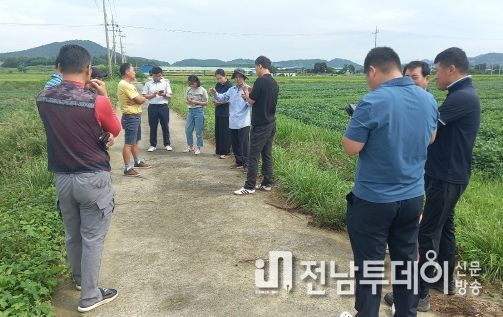 콩 파종 작업 실시 모습