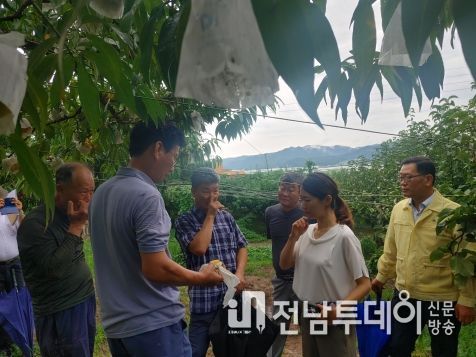 복숭아 피해를 설명 및 청취 모습