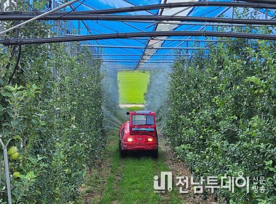 장성군, 과수 돌발해충 추가 방제 나서