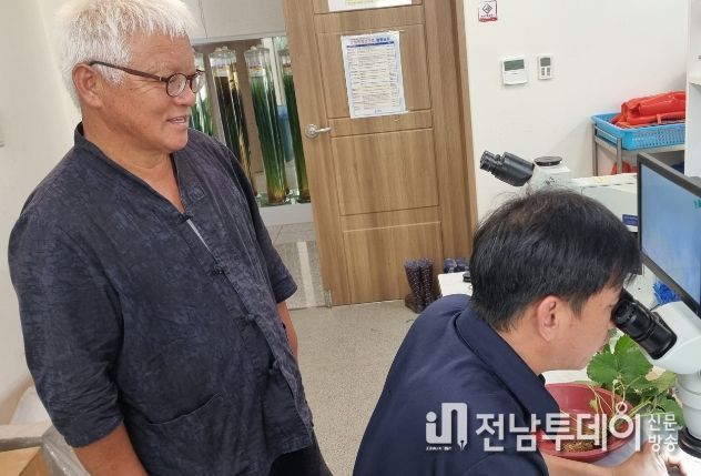 딸기 화아분화 현미경 관찰