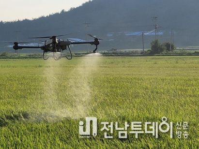 영광군, 벼 혹명나방 등 돌발병해충 긴급방제 약제지원