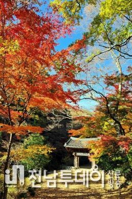단풍길 사진