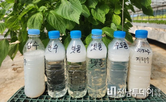 친환경농자재 자닮 오일이 물의 종류에 따라 녹는 정도가 달라짐을 한 눈으로 볼 수 있게 전시함