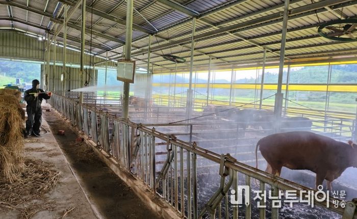 고흥군, 추석 연휴 대비 구제역 및 AI, ASF 특별 방역대책추진