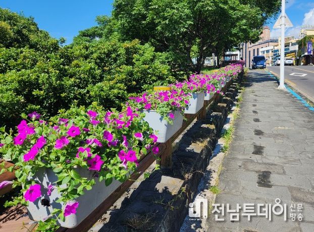 가을꽃 식재사업
