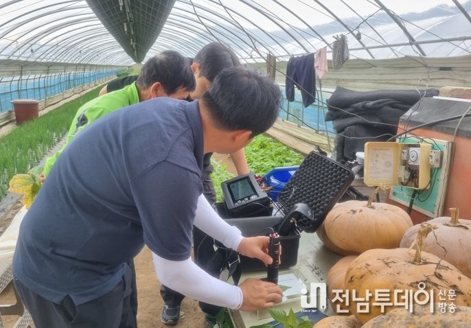 화순군농업기술센터 현장 기술지원단이 병해충 의심 포장에 현장 방문하여 피해 상황을 파악하고 있다.