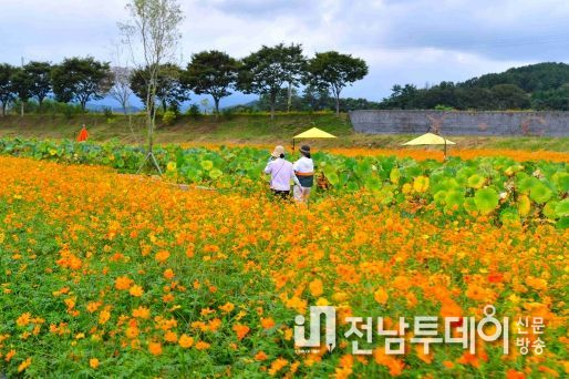 장성군 황룡강, 장성호… 추석 연휴 15만 발길 모았다