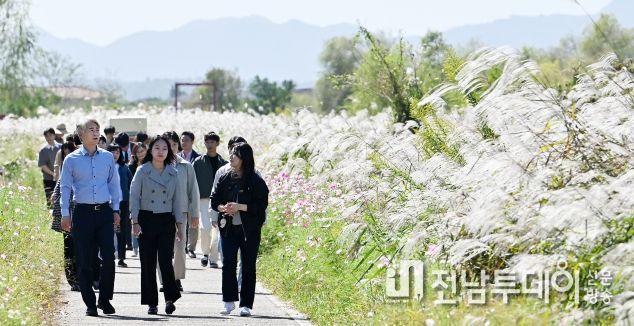 광주 서구, 광주서창억새축제 개막준비 한창