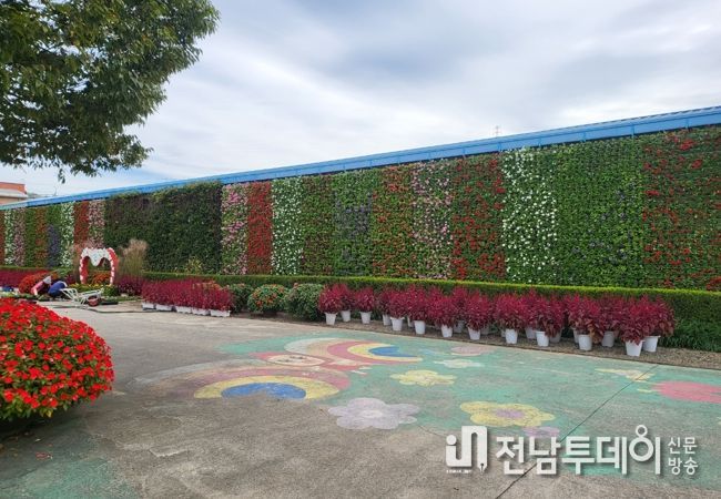 광양시, 시민과 함께하는 가을꽃 집중전시회