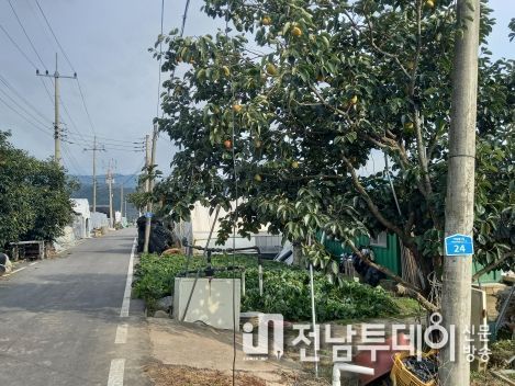 곡성군, 농로의 도로명 부여를 통한 군민 편의 증진