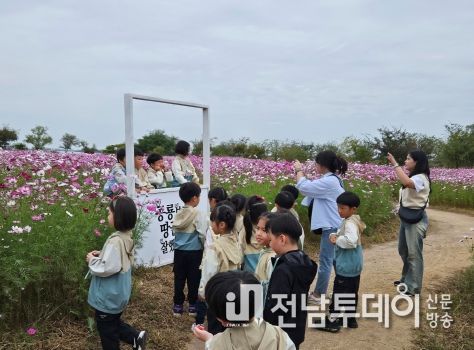 코스모스 오색 물결, 해남군 공룡나라에 가을빛 물씬