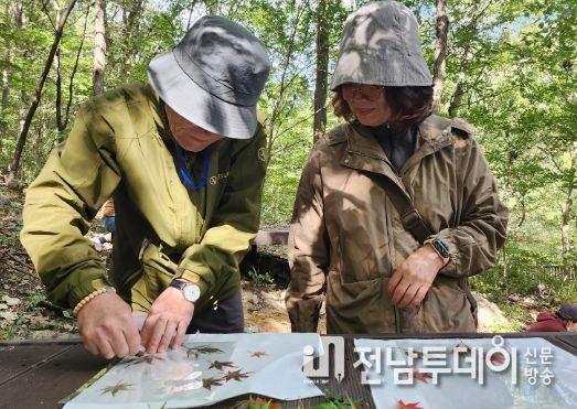 광산구 치매안심센터, 치유의 숲 체험 운영