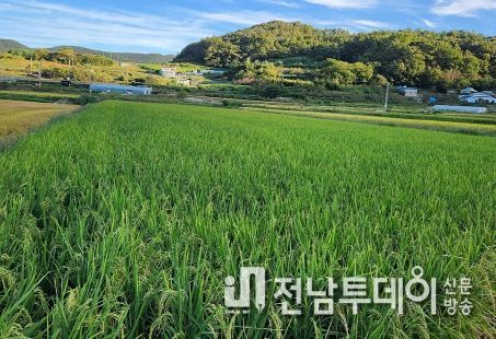 여수시(시장 정기명)가 농식품부가 주관하는 2024년 가루쌀 생산단지 육성 공모사업에 여천농협이 선정됐다고 20일 밝혔다.
