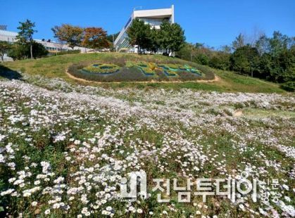 여수시 화장동에 소재한 선사유적공원 내 도시농업공간에 구절초와 메밀꽃이 활짝 피어 오가는 이들의 발길을 사로잡고 있다.