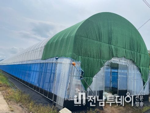 청년 농업인 시설하우스
