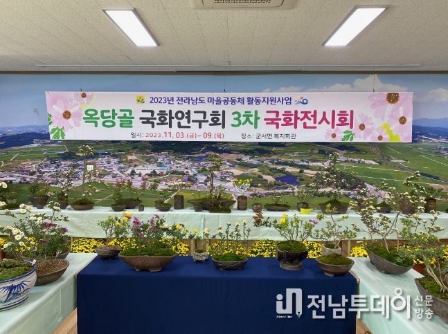 영광군 옥당골 국화연구회, 국화 분재 전시회 개최