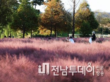 2023 대한민국 국향대전 모습