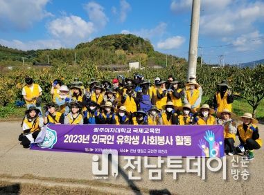 광주여대 학생 43명, 영암 대봉감 농가서 일손돕기