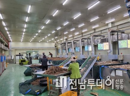 수매된 작약 저장 사진