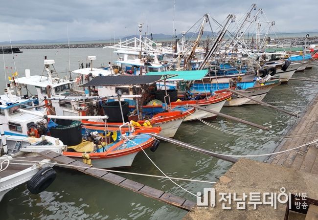 보성군, ‘2024년 청년어촌정착 지원사업’ 대상자 모집